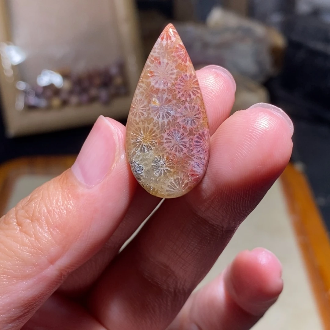 【闪购商品】硅化玉珊瑚玉未镶嵌