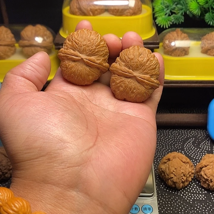 文玩核桃吊坠海豚头球宝43