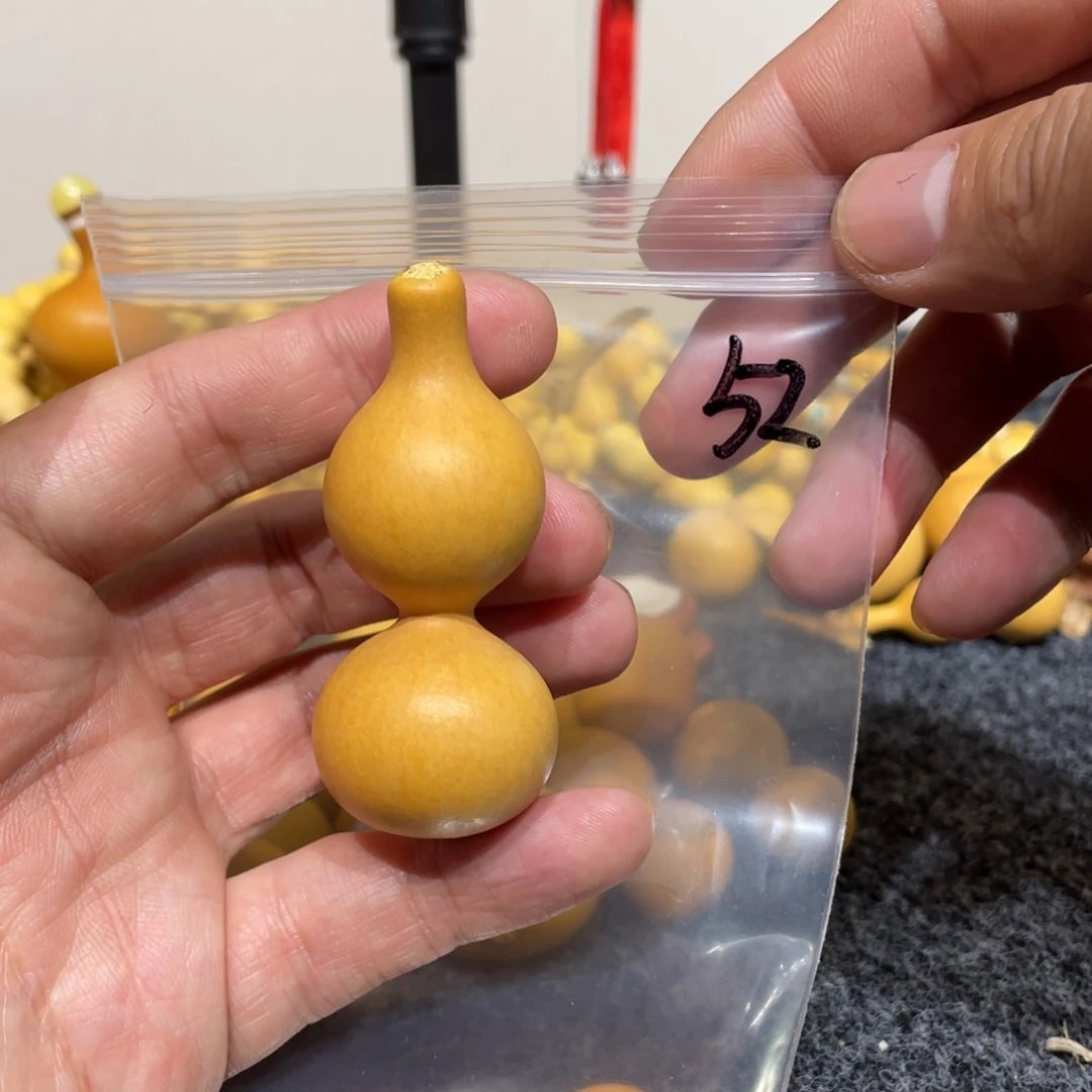 葫芦葫芦葫芦葫芦52号