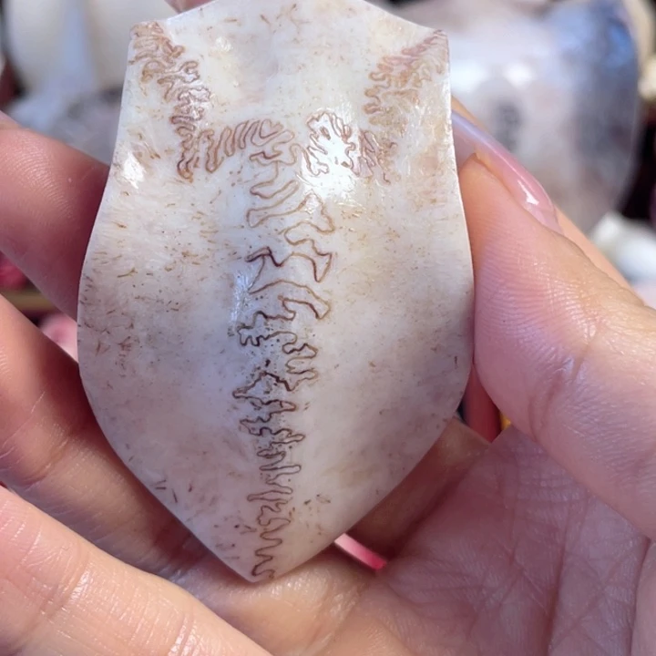 ༇***༻养殖鹿骨三界牌子