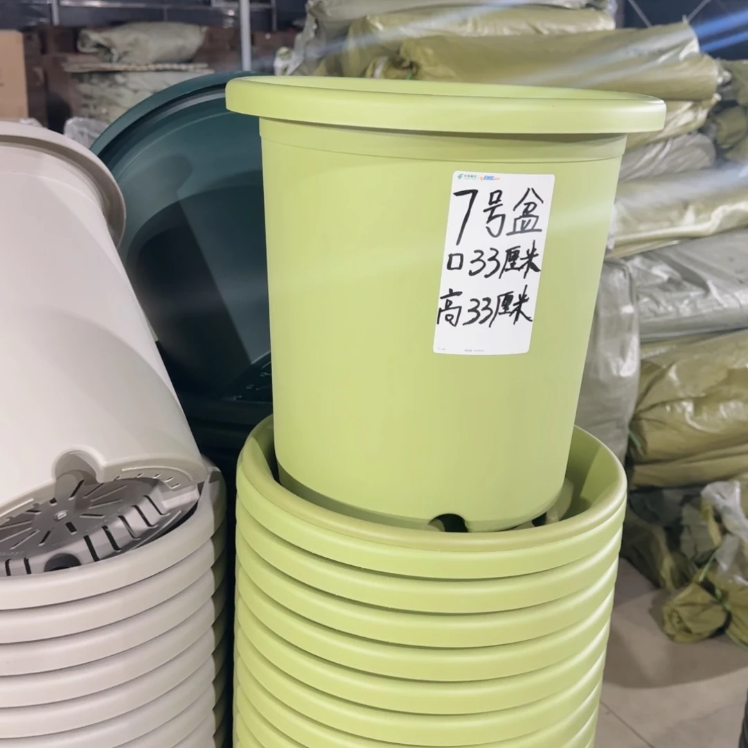 塑料四季7号果绿2个带拖