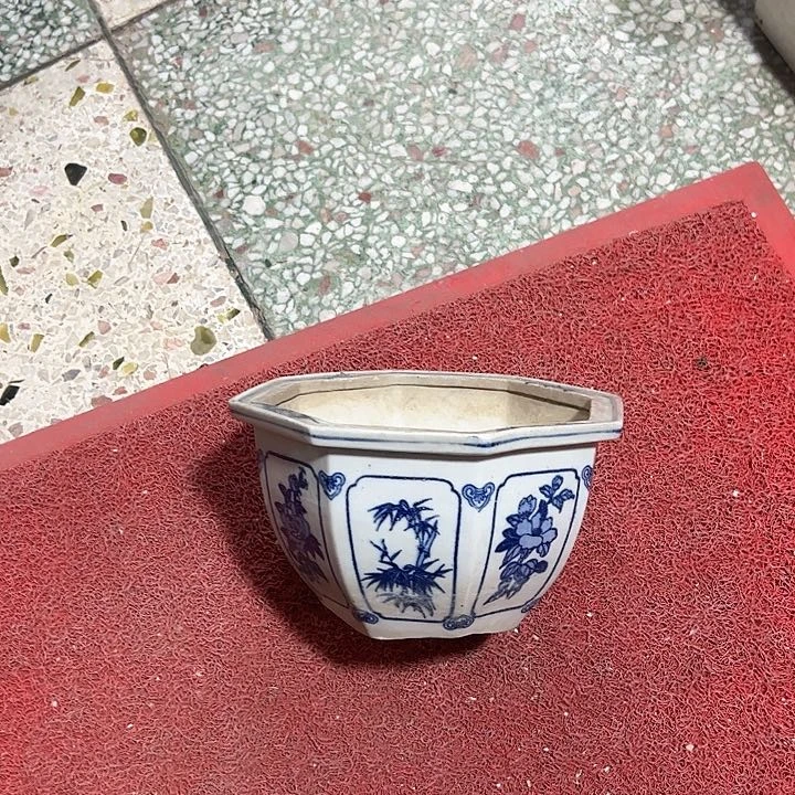 红陶非**生。。。。。。。。。