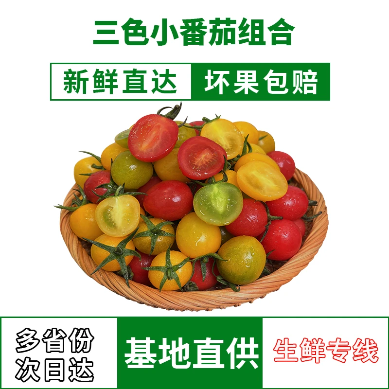 三色圣女果精选混装小番茄青口蜜阳光圣女果组合装1/3/5斤甘甜