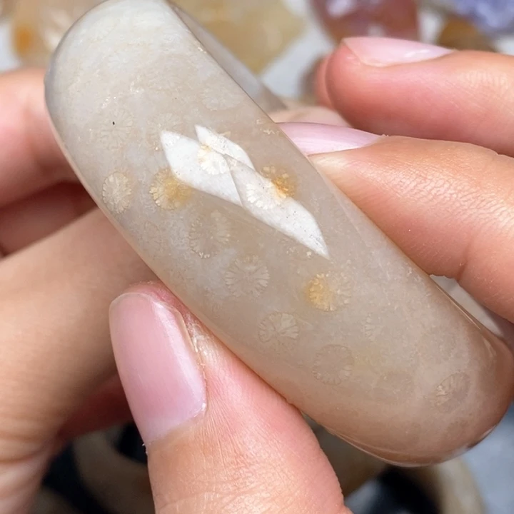 硅化珊瑚（珊瑚玉）手镯未镶嵌52