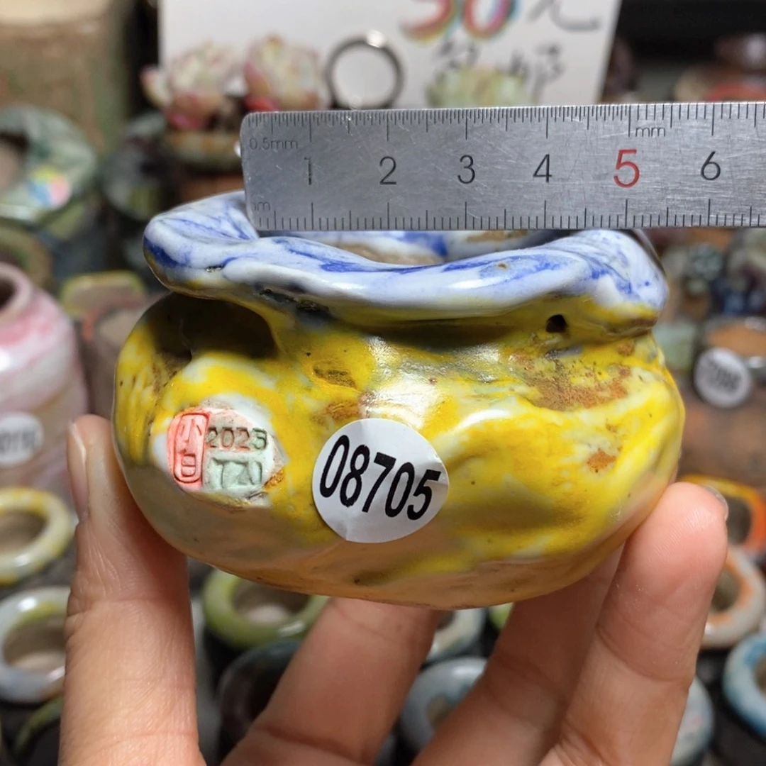 花盆拍3送一个小礼物