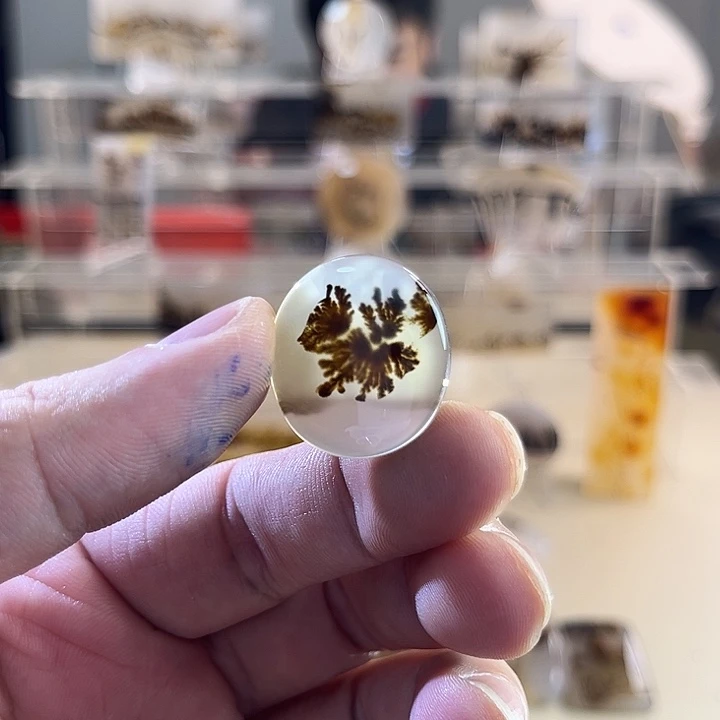 未镶嵌吊坠(不含链)玛瑙/玉髓