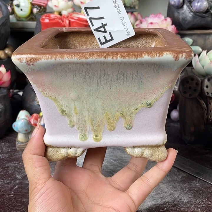 重庆小燕子欢迎大家477