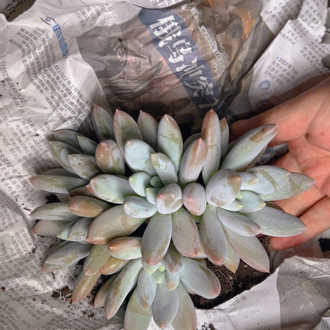 @***总5-8111111111111111