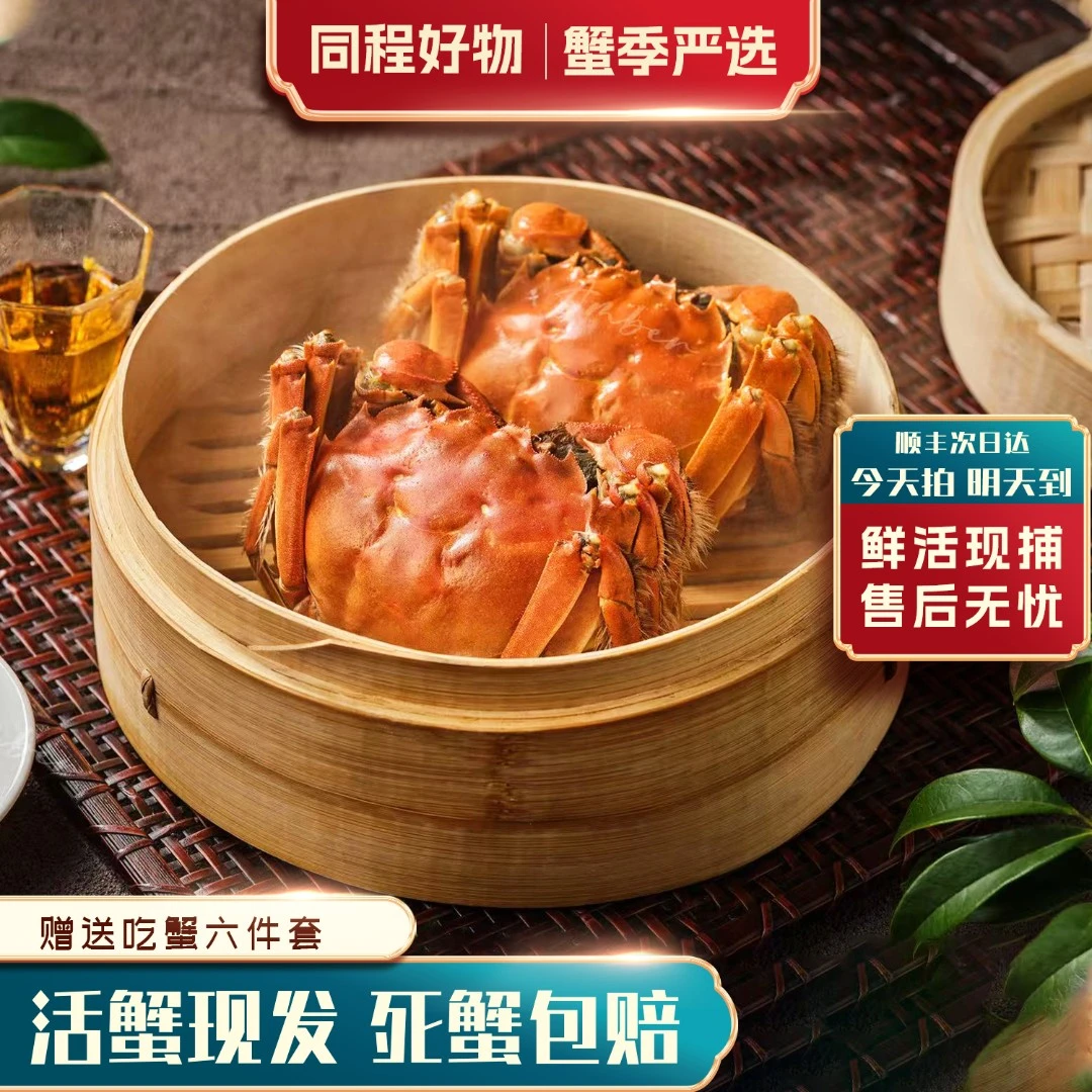 【活蟹】3.5两公 3两母（4对8只）江苏大闸蟹礼盒 去绳足重顺丰现捕