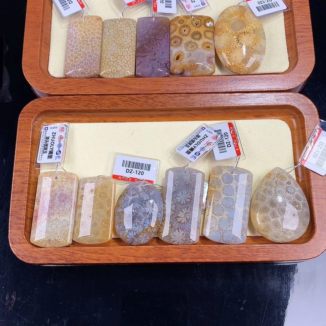 硅化珊瑚（珊瑚玉）未镶嵌吊坠(赠链)80号上新吊坠120一个