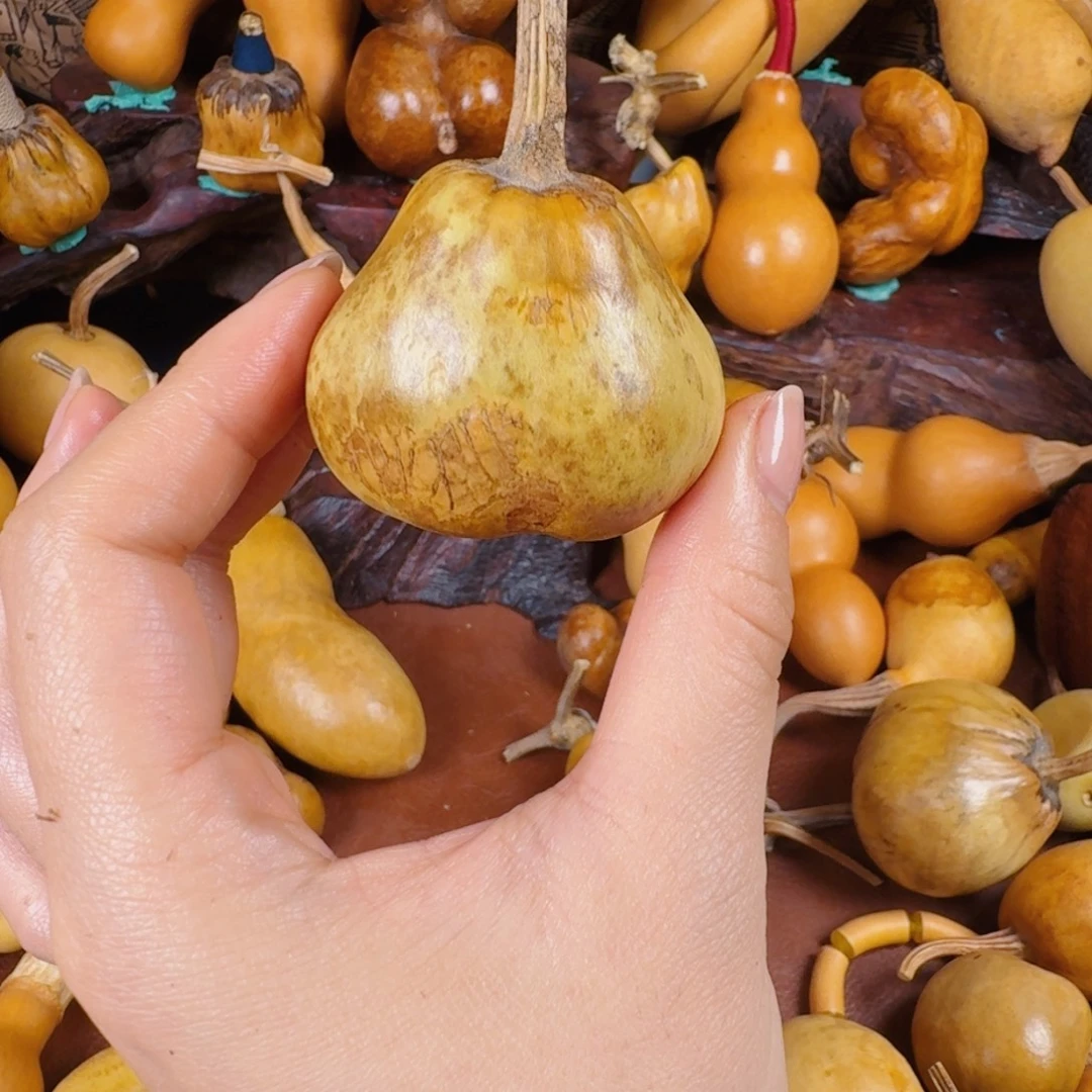 5***9惺惺相惜纯纯粹粹vvvv