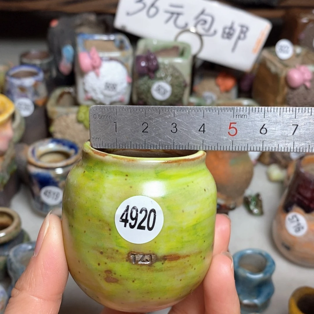 拍5送一个小礼物