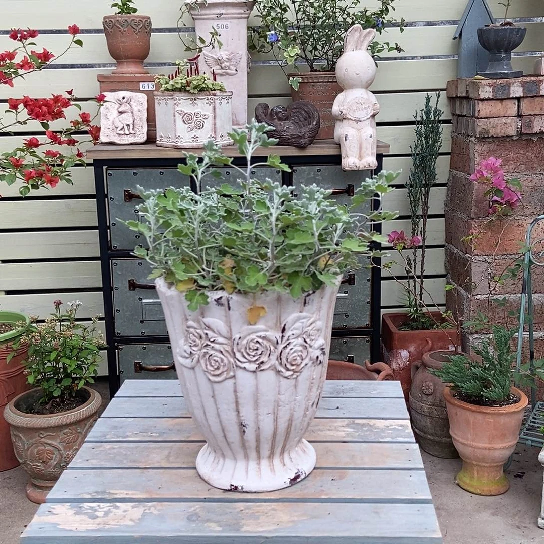 玫瑰奖杯口18高20