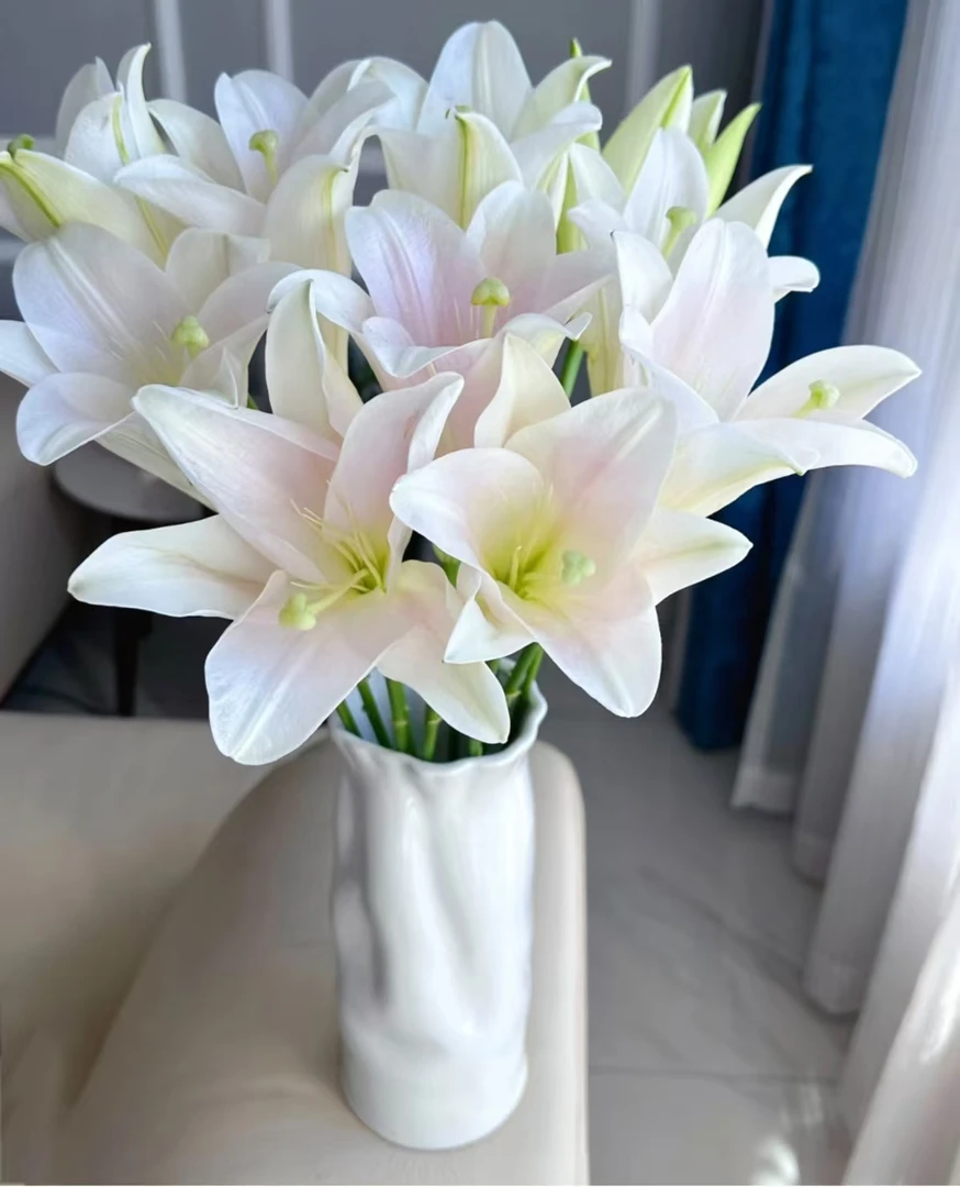 【粉铁炮】香水百合 花苞发货 收到需醒花 云南基地直发