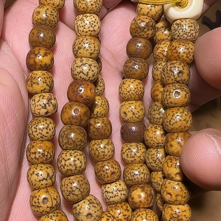 藏区老星月念珠保老漂亮