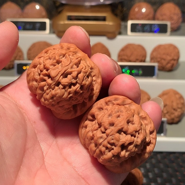 文玩核桃把件莲花