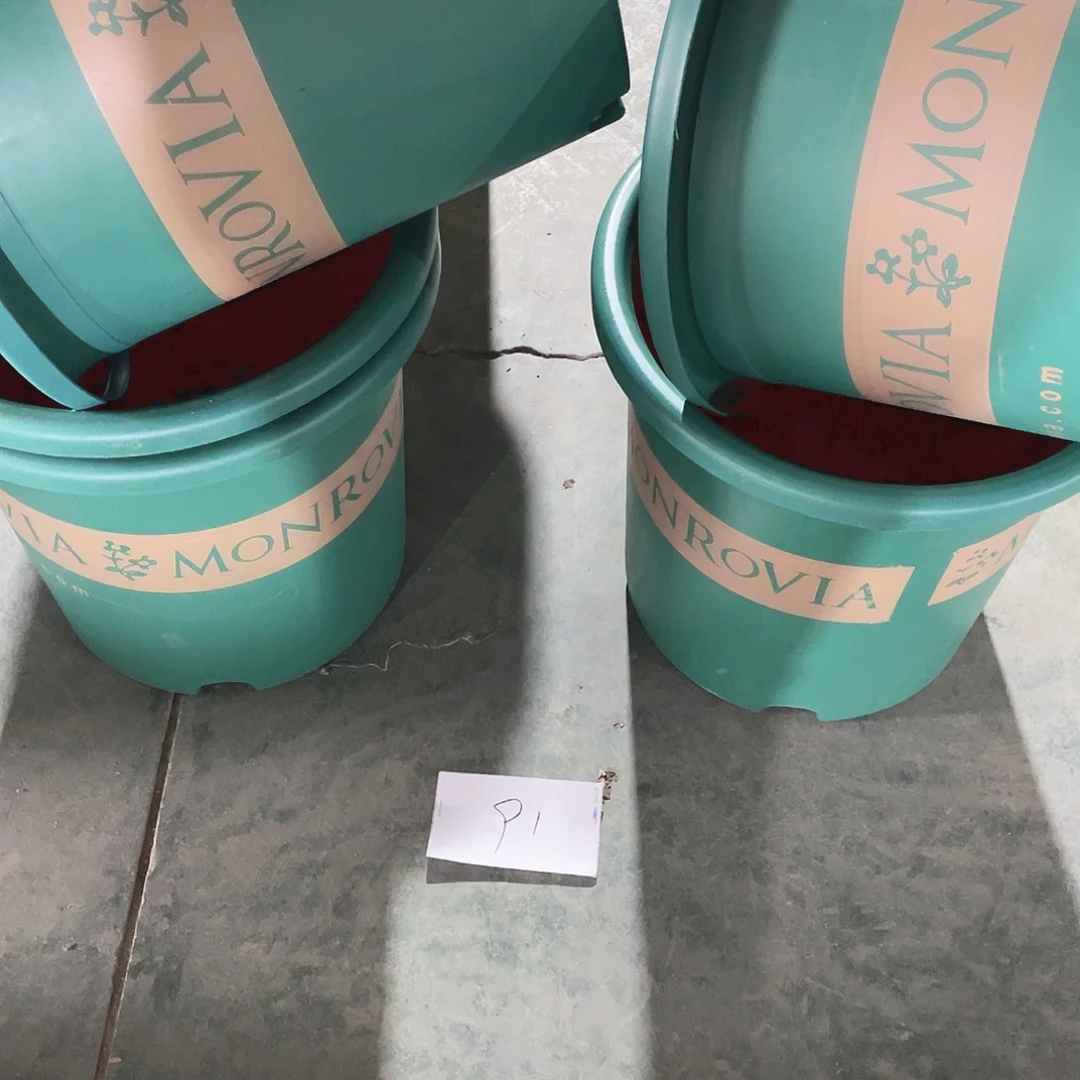 编号是91号的91号的