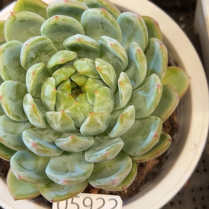 幸运的是我还没遇到过