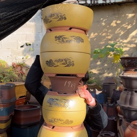 花盆紫砂特价包邮送