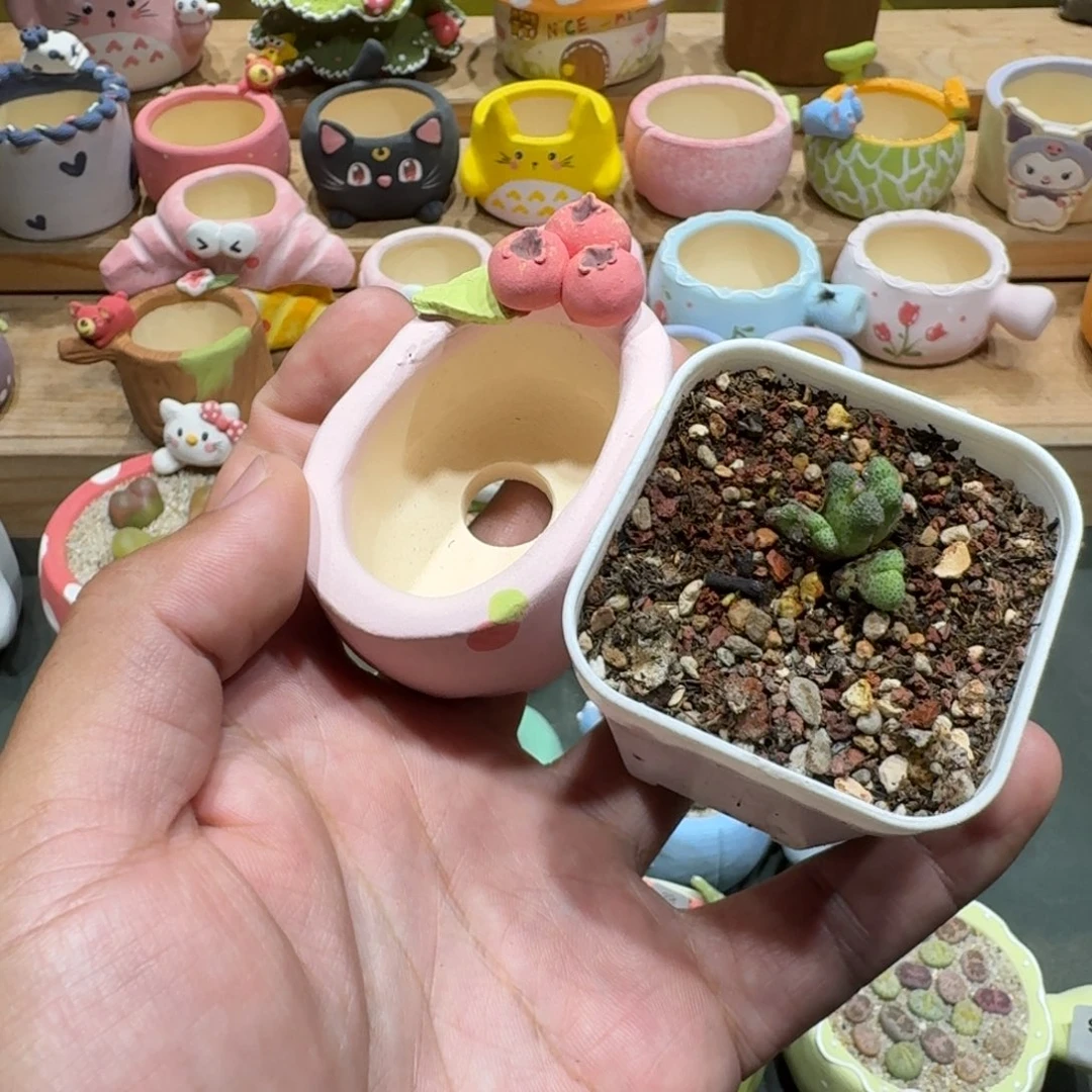 格***调蘑菇1367一颗955d斑马