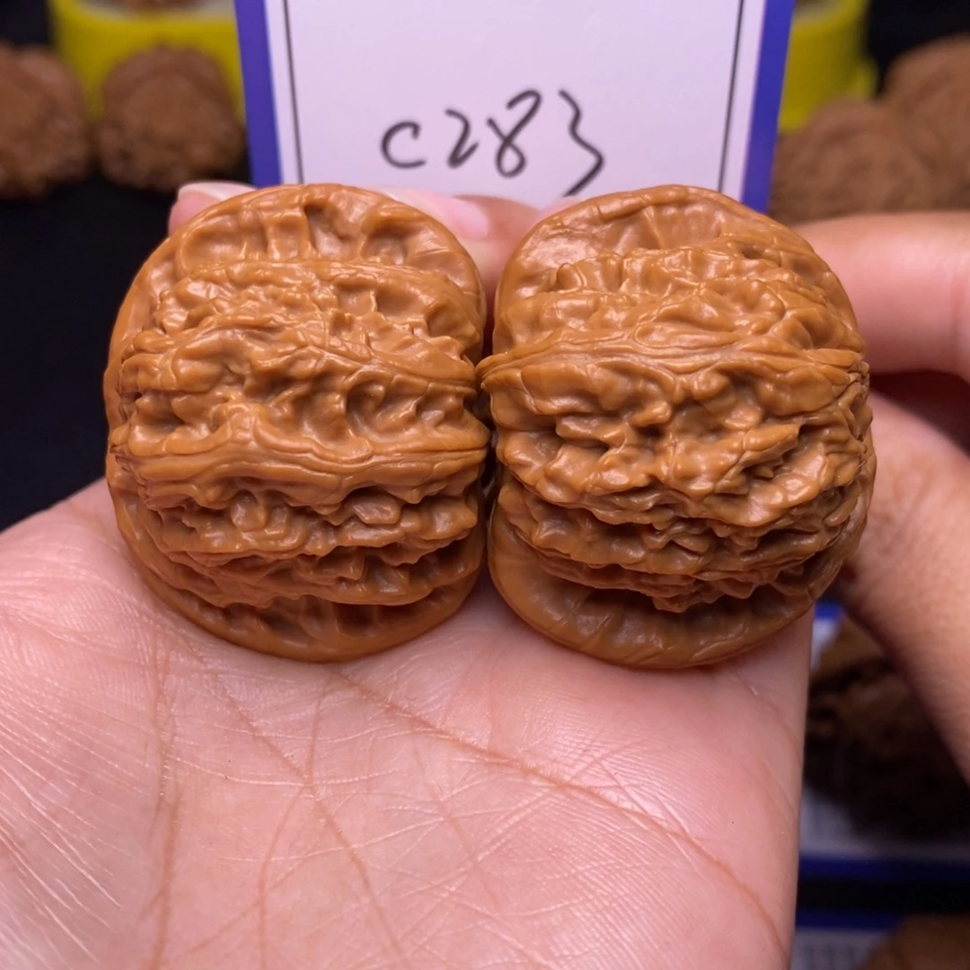 把件文玩核桃40白狮子c283