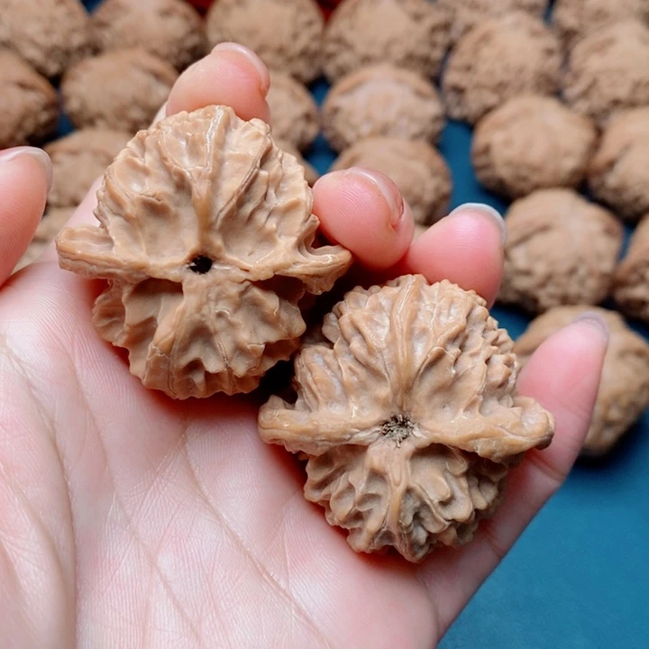 文玩核桃把件苹果园全品41