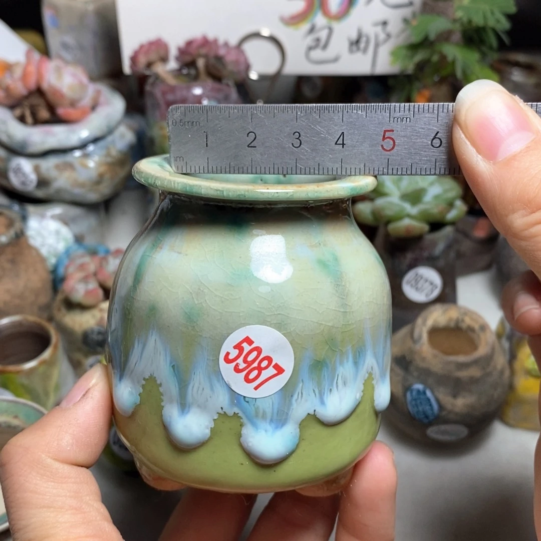 花盆拍3送一个小礼物