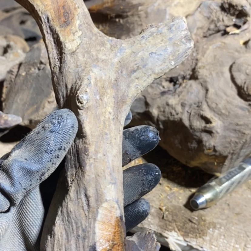 【闪购商品】把件贡木学*私人订制