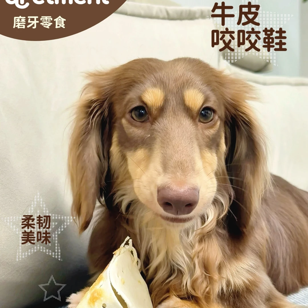 Apetment 犬用风干牛皮磨牙零食