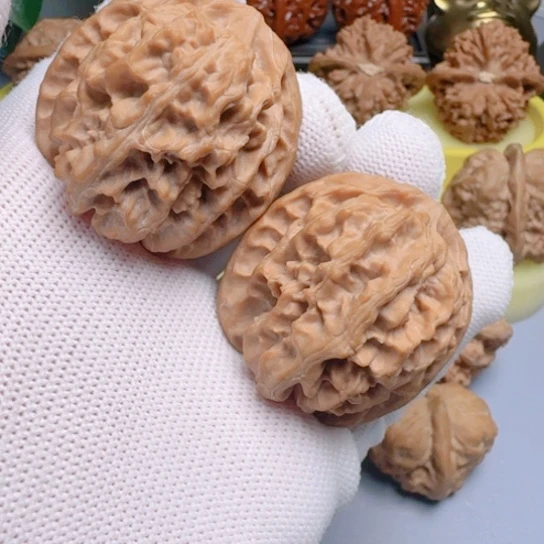 40尺原装苹果园无药