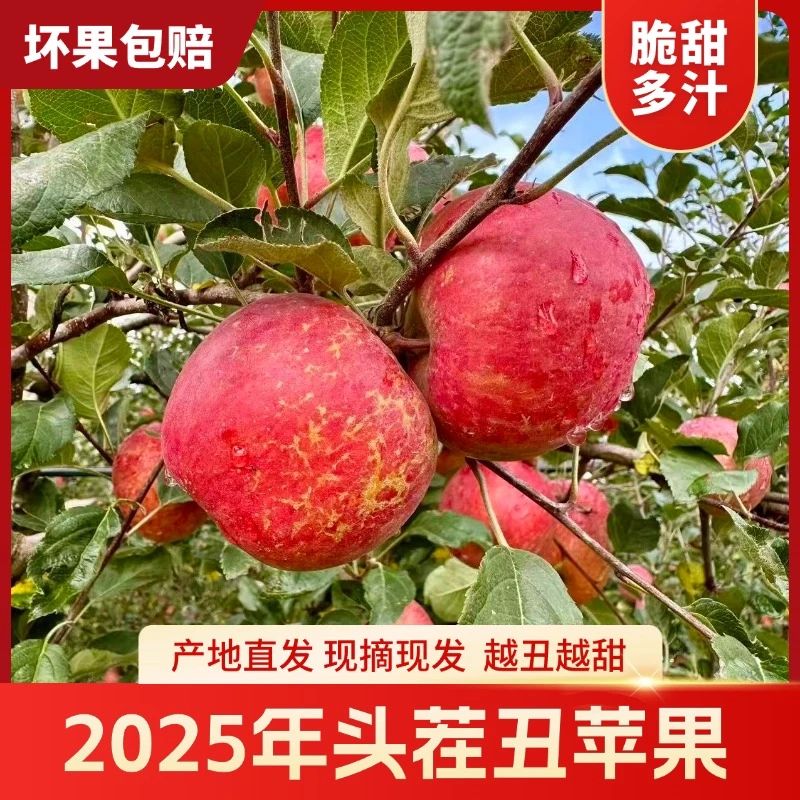 S3【坏果包赔】大凉山高山脆甜多汁丑苹果5斤整箱现摘新鲜水果