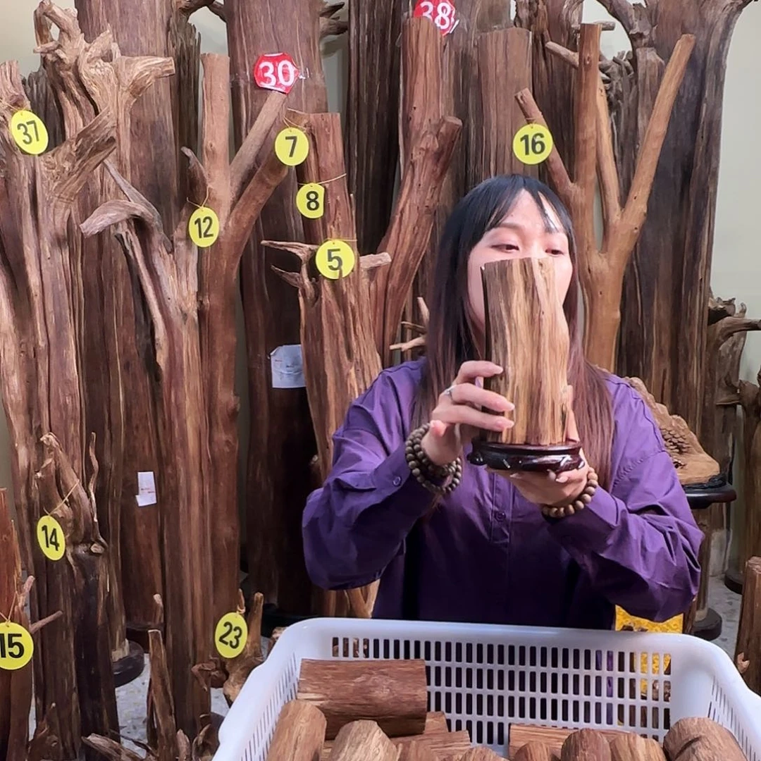 沉香沉香碎屑天然沉香原材料香料熏料