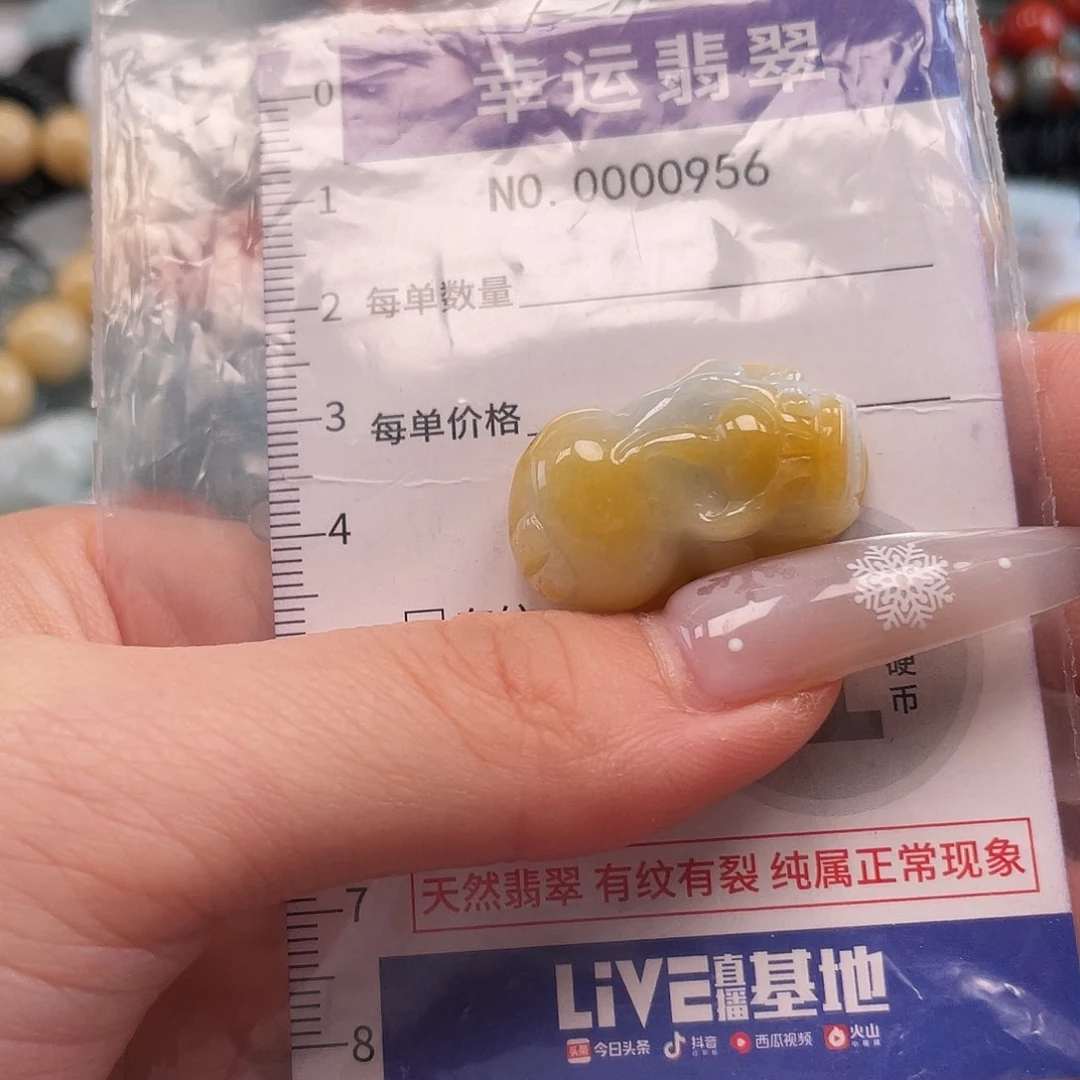 翡翠未镶嵌颈饰hhi