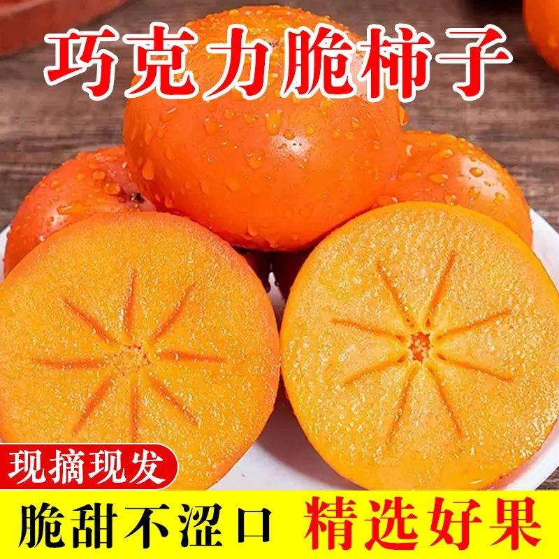 【次日发】山西阳丰巧克力脆甜柿子大果冰糖心阳丰脆柿黄皮发货