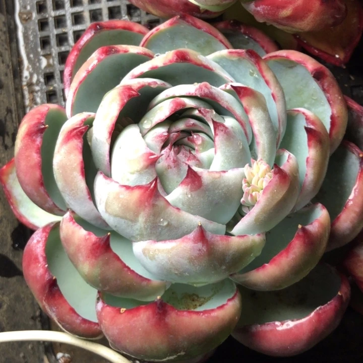 30///////////////////