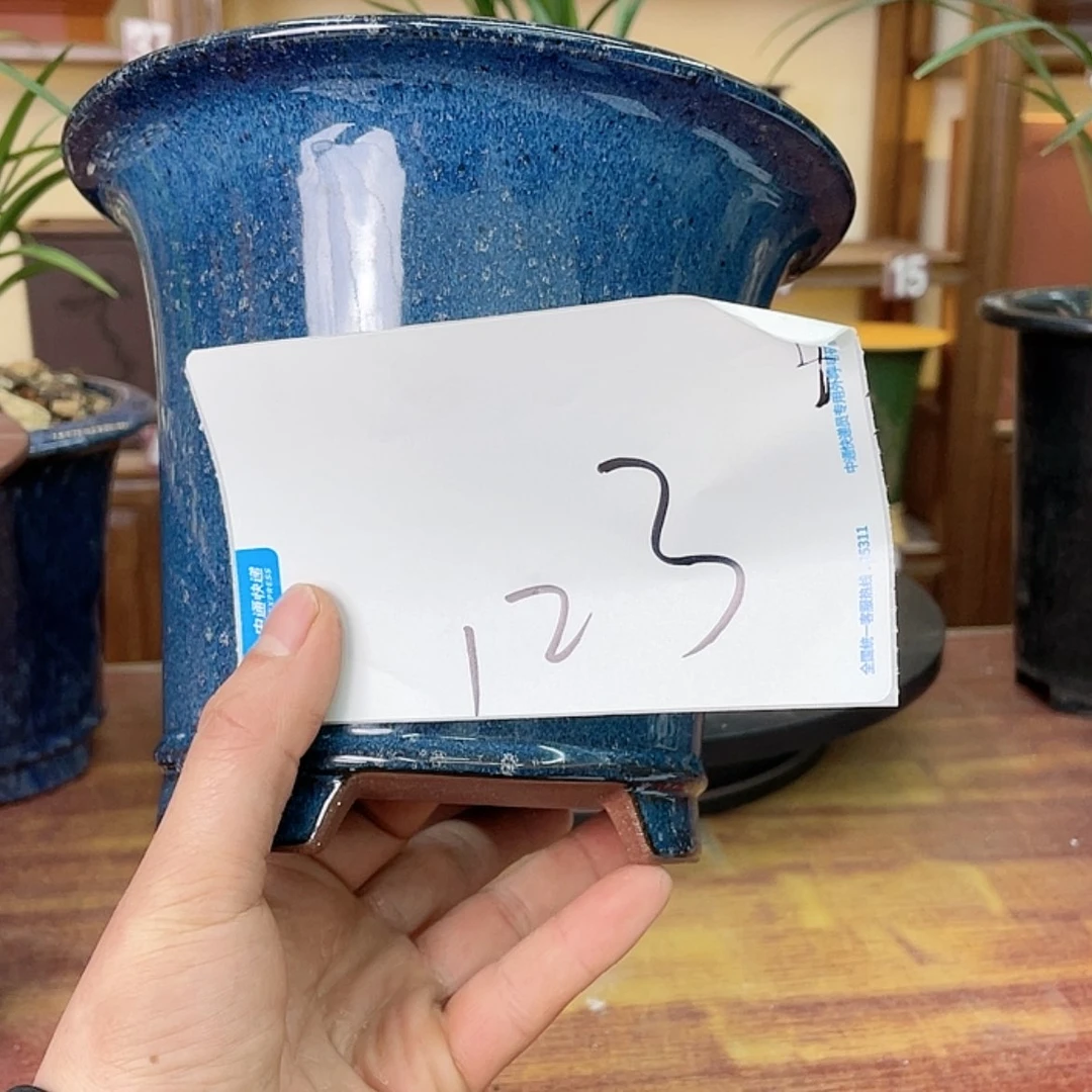 【闪购商品】紫砂花盆圆*兰花75688578655557777