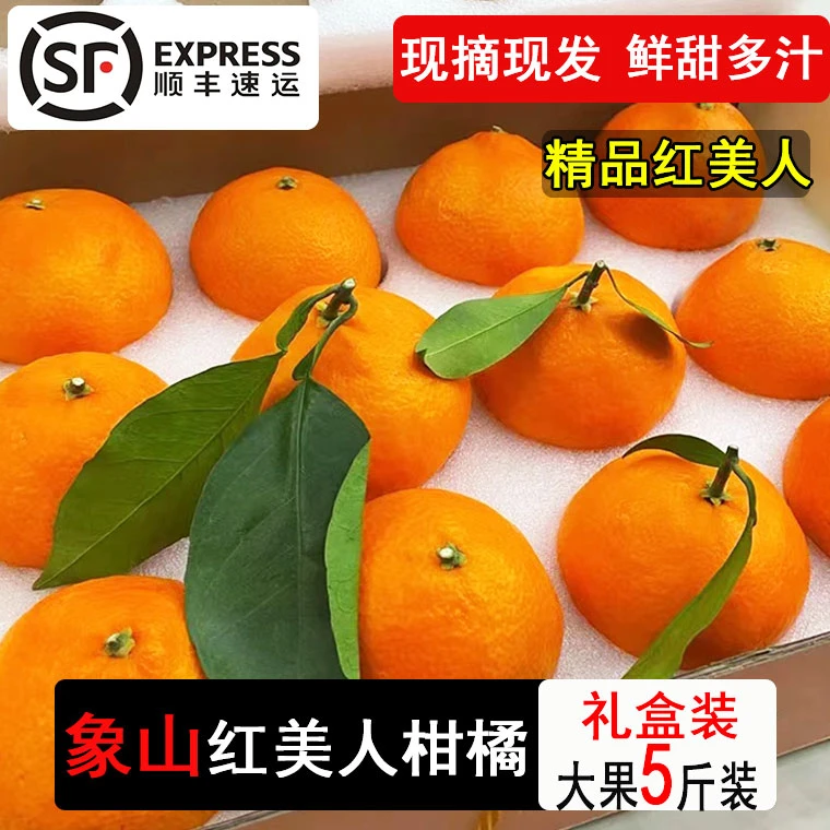 【象山红美人】正宗宁波红美人柑橘爱媛28号果冻现摘顺丰礼盒装5斤