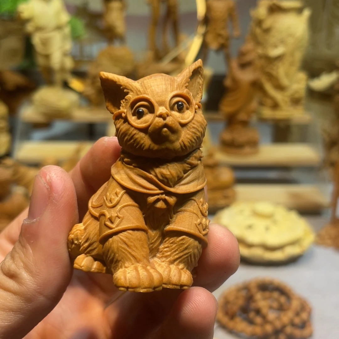 黄杨木小叶黄杨博士猫