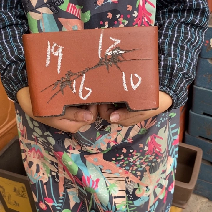 花盆紫砂只顾在床底下打