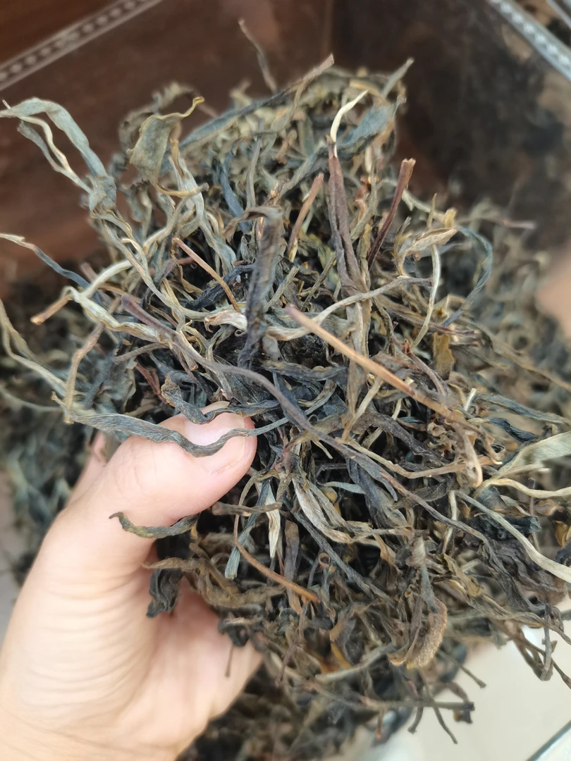 云南普洱茶生茶散茶芽叶肥硕有冰糖甜韵