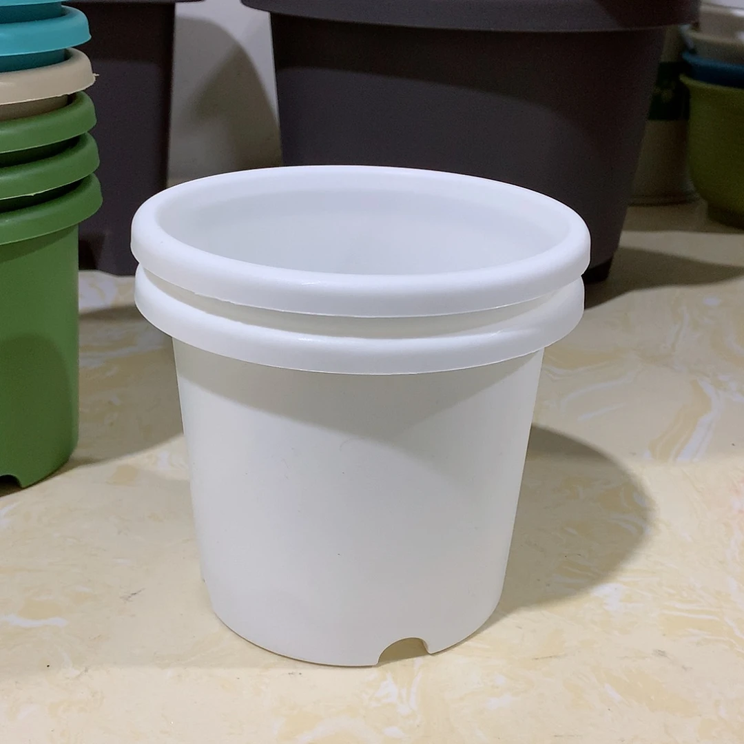 树脂四季口13.5白10个无托