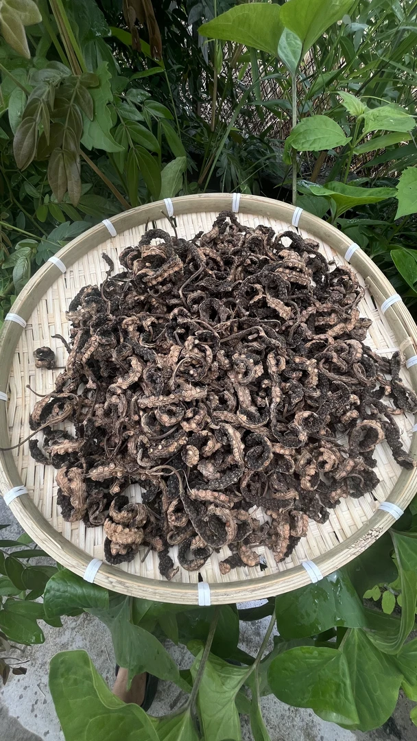 小余土山货-肖-榴-藤 50克-100克 食用农产品