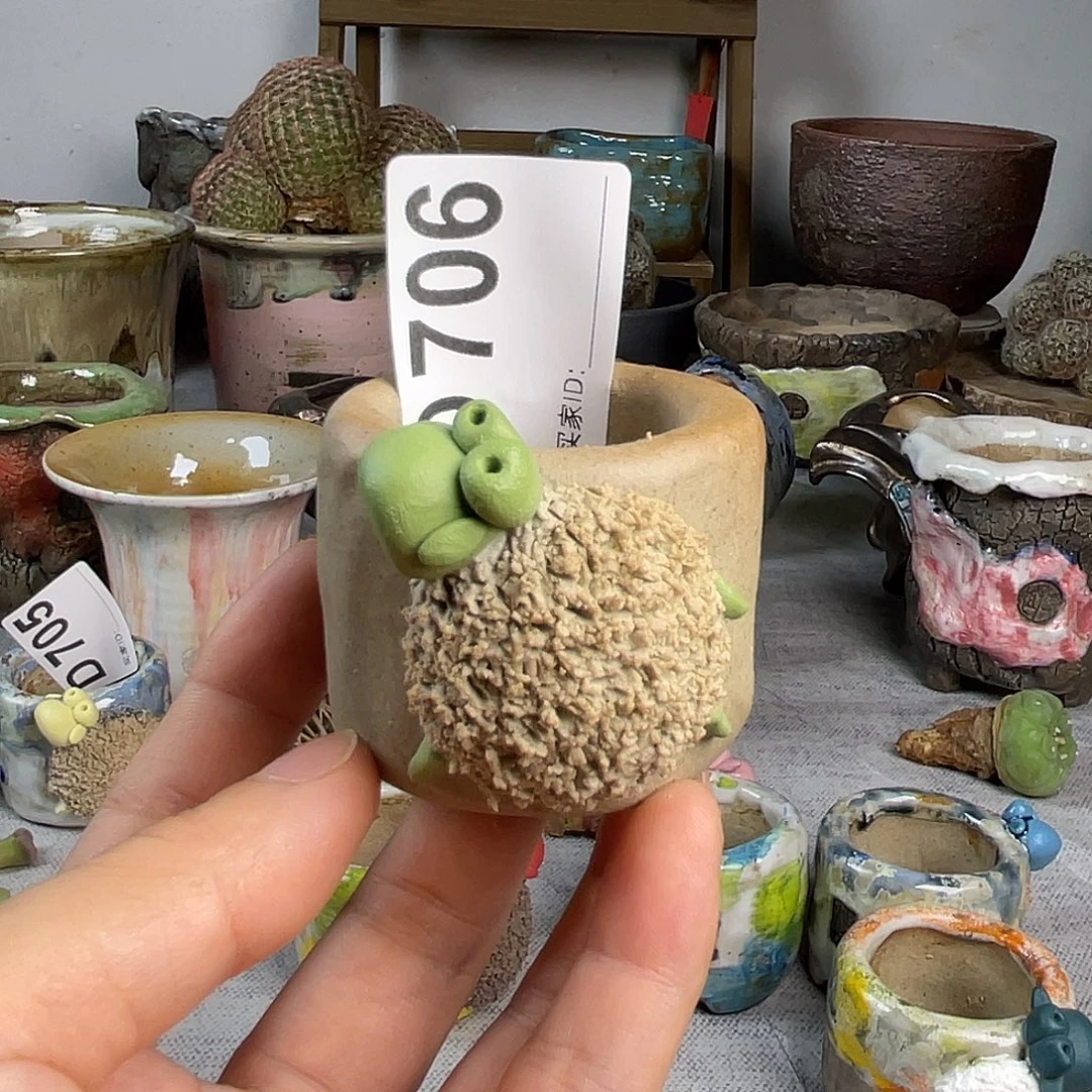 坛子姐小羊盆内口3.5