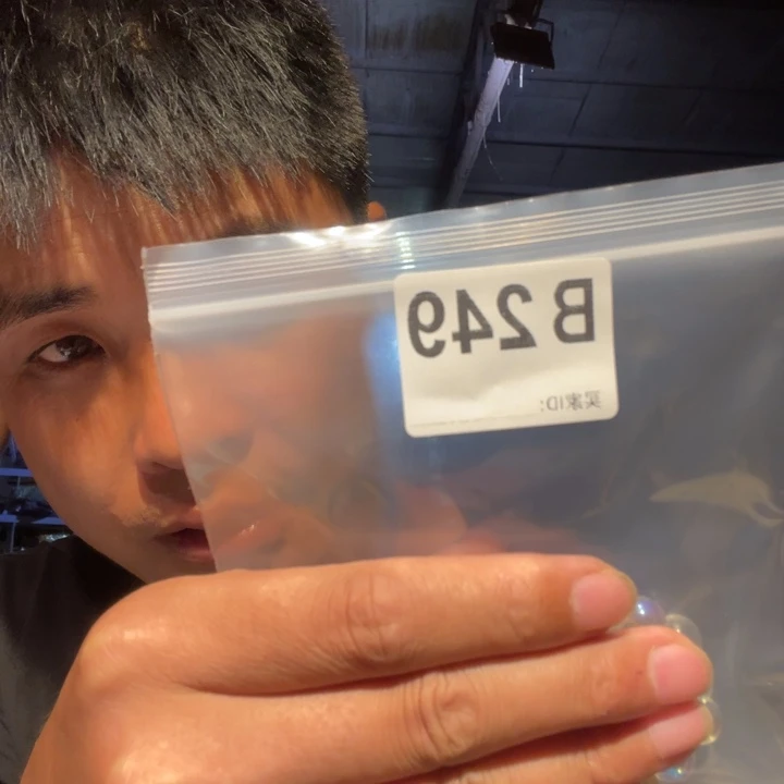 大理石磁石文玩249