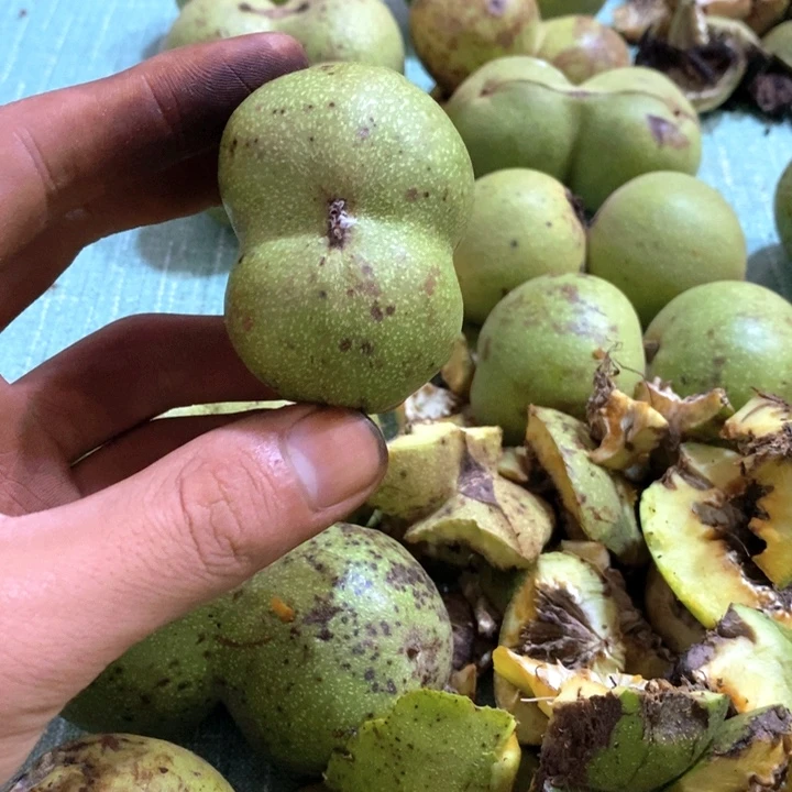 把件文玩核桃胖*