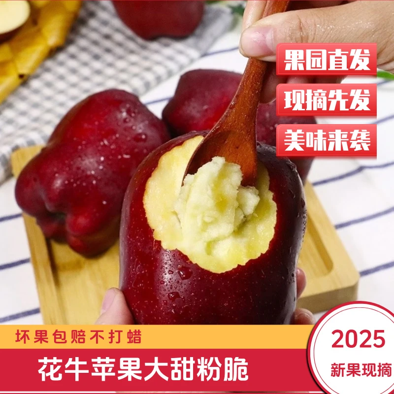 正宗天水花牛苹果脆粉两吃多汁当季新鲜头茬采摘包邮老少孕妇皆宜