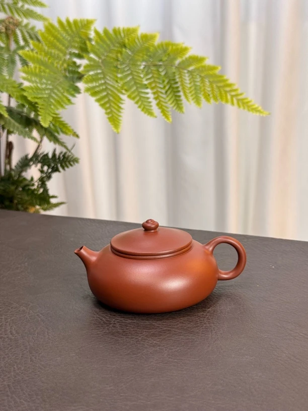 寒江壶约120毫升全手工薄胎朱泥潮州手拉壶小品家用泡茶壶