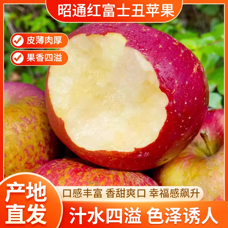 云南昭通冰糖心丑苹果正宗新鲜当季脆甜多汁果园现摘现发家长