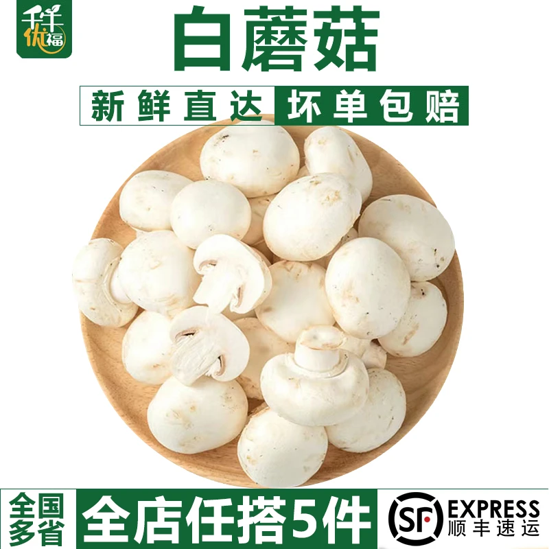 千牛优福白蘑菇250g 新鲜食用菌菇 网红烧烤蘑菇 双孢菇煲汤蔬菜