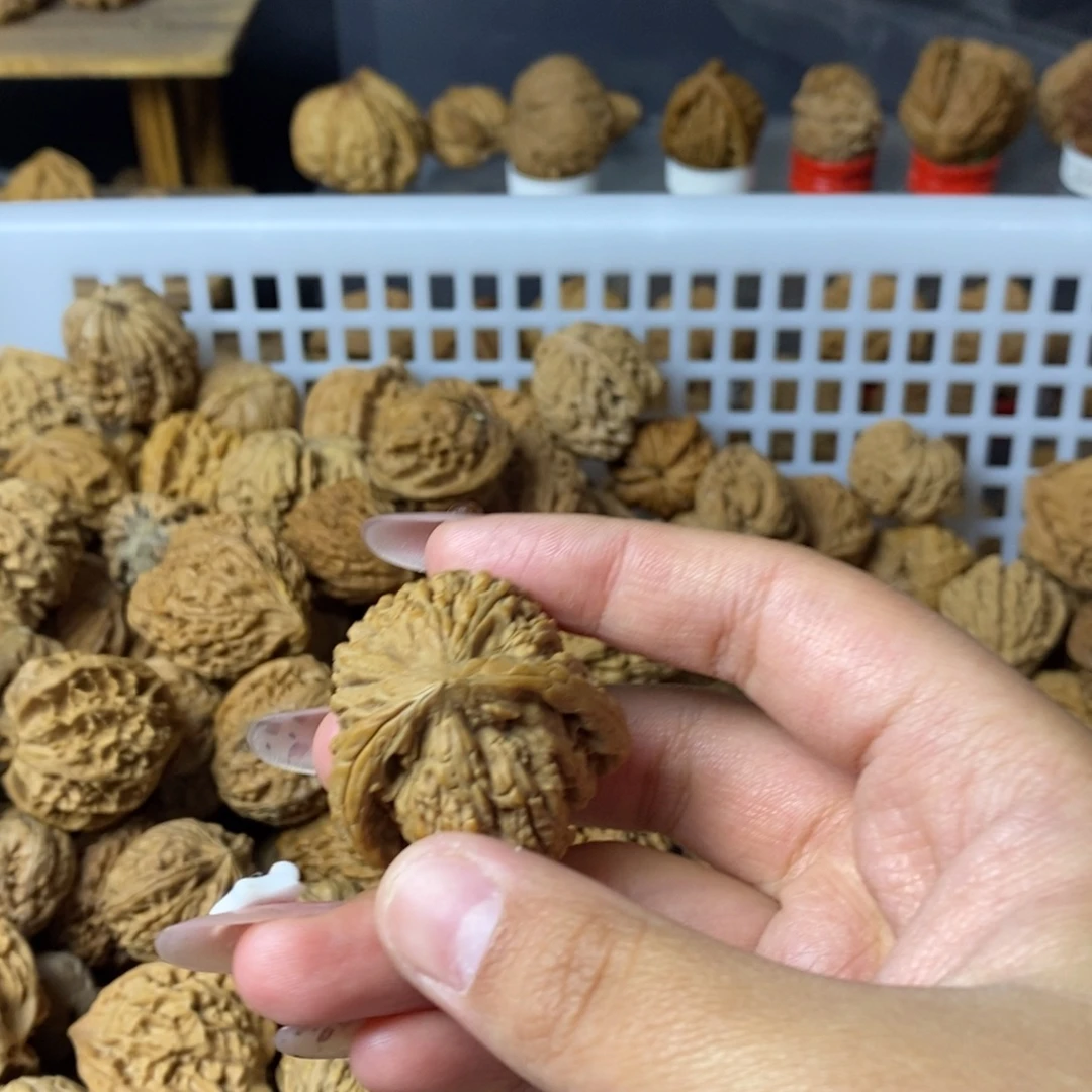 t***n大叶紫檀（黑酸枝木类）